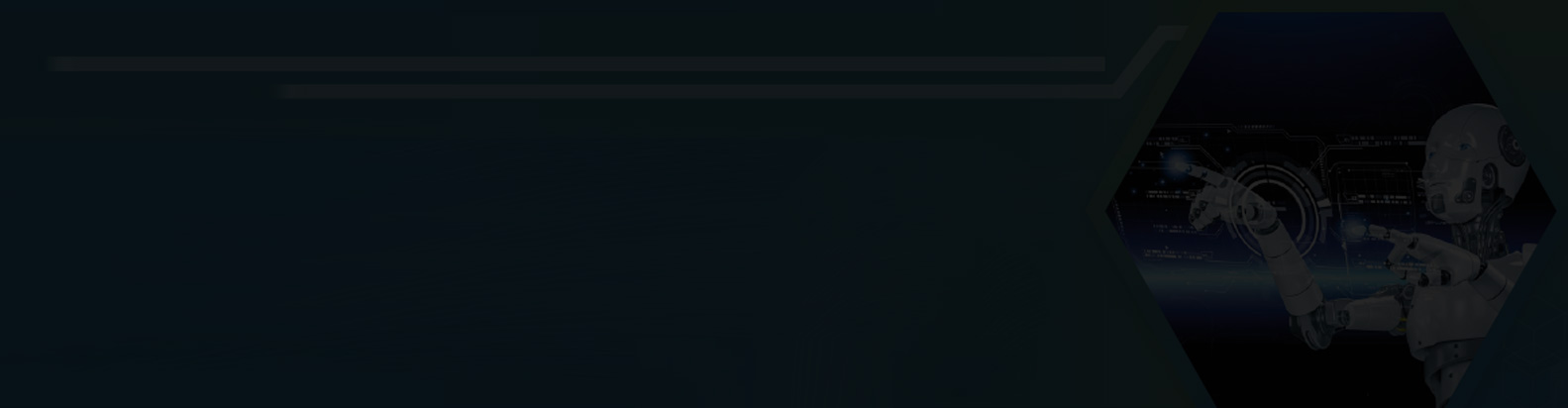 Transforming Merchant Data Quality Using AI & ML Case Study