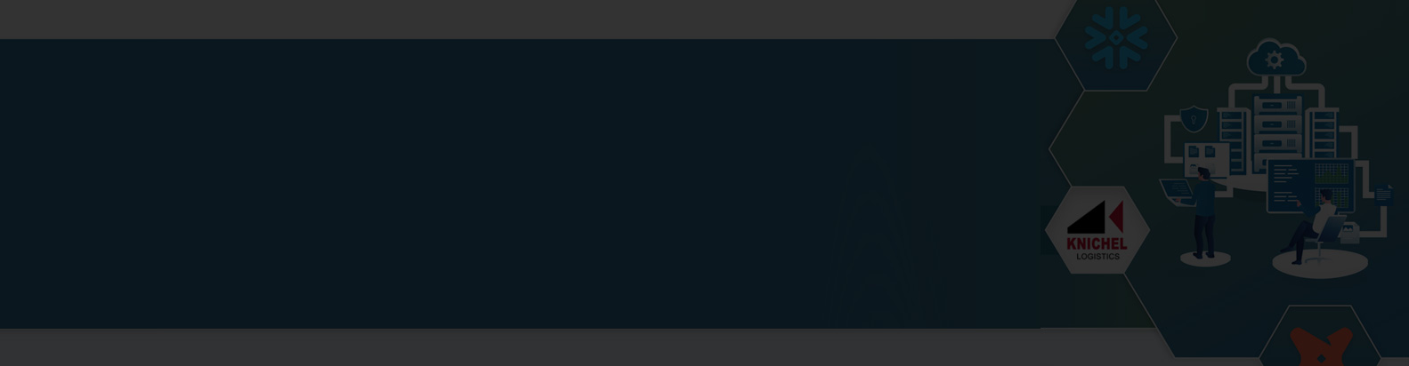 Knichel's Snowflake Transformation - Case Study